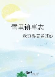 雪里镇事志