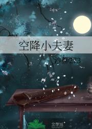 空降小夫妻