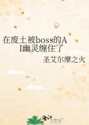 在废土被boss的AI幽灵缠住了