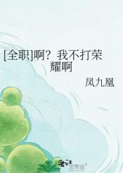 [全职]啊？我不打荣耀啊