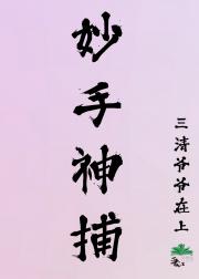 妙手神捕