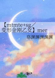 【mtmte+sg／变形金刚乙女】mer