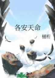 各安天命
