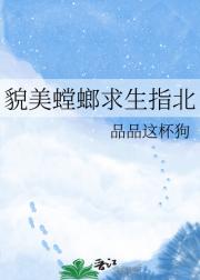 貌美螳螂求生指北