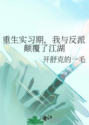 重生实习期，我与反派颠覆了江湖