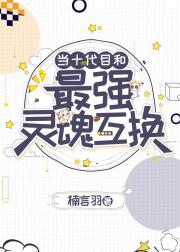 当十代目和最强灵魂互换