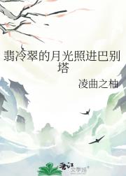 翡冷翠的月光照进巴别塔