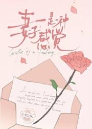 妻子是一种感觉