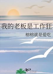 我的老板是工作狂