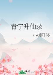 青宁升仙录
