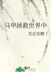 马甲拯救世界中