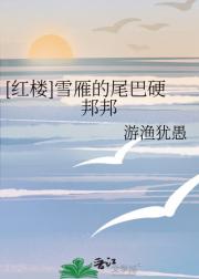 [红楼]雪雁的尾巴硬邦邦