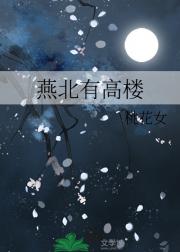 燕北有高楼