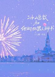 冰山总裁和他的机器人秘书