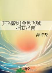 【HP塞秋】圆梦曲