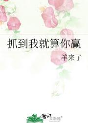 抓到我就算你赢
