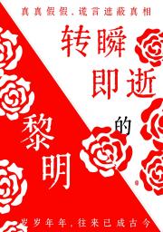 转瞬即逝的黎明