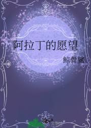 阿拉丁的愿望