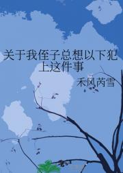 关于我侄子总想以下犯上这件事