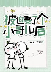 被迫娶了个小哥儿后