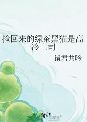 捡回来的绿茶黑猫是高冷上司