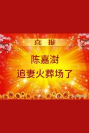 我那不可一世的初恋