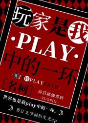 我是红黑玩家Play中的一环[名柯]