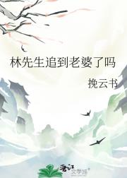 林先生追到老婆了吗