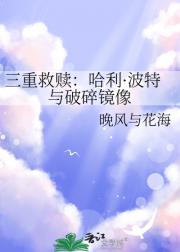 三重救赎：哈利·波特与破碎镜像