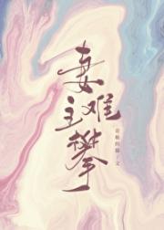 妻主难攀（女尊）