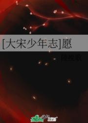 [大宋少年志]愿