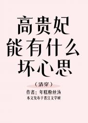 高贵妃能有什么坏心思？(清穿)