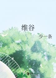 维谷