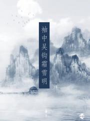 袖中吴钩霜雪明