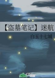 【盗墓笔记】迷航