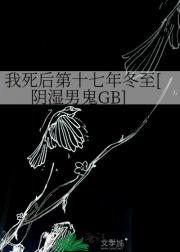 我死后第十七年冬至[阴湿男鬼GB]