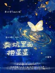 粪坑里面捞星星