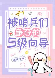 被哨兵们争夺的S级向导