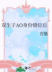 双生子AO身份错位后