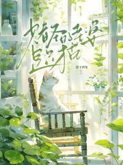 赌圣的猫禁止喵叫