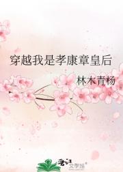 穿越我是孝康章皇后