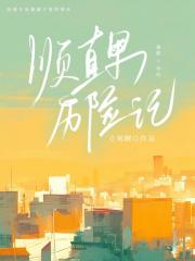 顺直男历险记