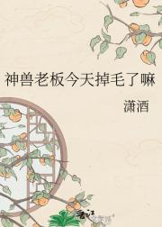 神兽老板今天掉毛了嘛