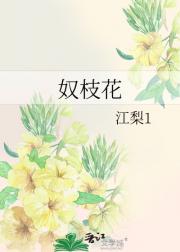 奴枝花