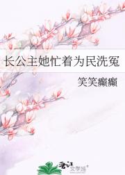 长公主她忙着为民洗冤