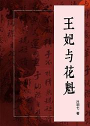 王妃与花魁