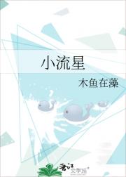 小流星