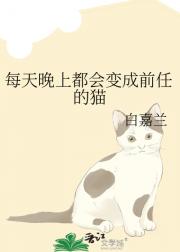 每天晚上都会变成前任的猫