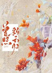 曾照彩云归
