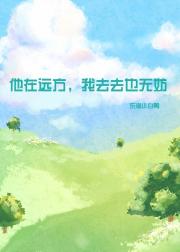 他在远方，我去去也无妨